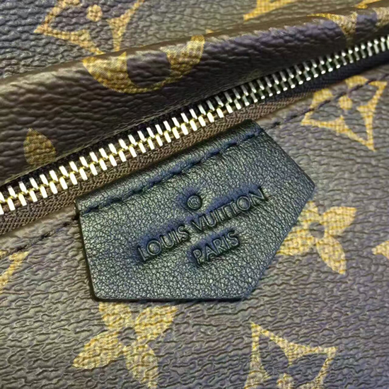 Louis-Vuitton-Monogram-Palm-Springs-PM-Back-Pack-M41560 – dct-ep_vintage  luxury Store