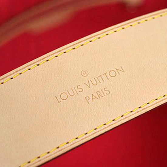 Louis Vuitton N41448 Delightful MM Hobo Bag Damier Azur Canvas